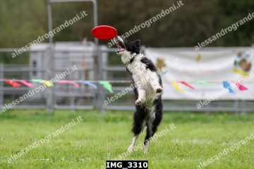 IMG_3310.jpg