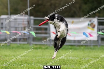 IMG_3313.jpg