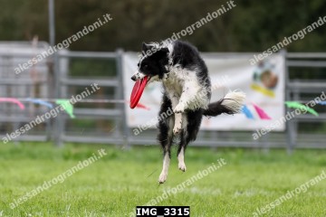 IMG_3315.jpg