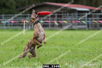 IMG_3349.jpg