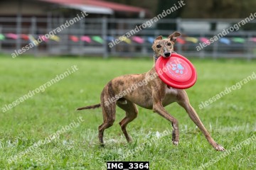 IMG_3364.jpg