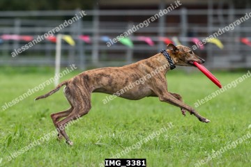 IMG_3381.jpg