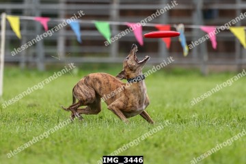 IMG_3446.jpg