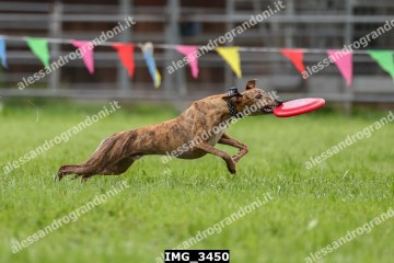 IMG_3450.jpg