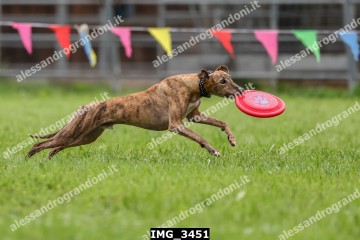 IMG_3451.jpg