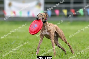 IMG_3480.jpg