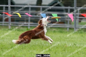 IMG_3508.jpg