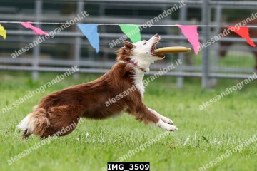 IMG_3509.jpg