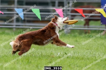 IMG_3510.jpg