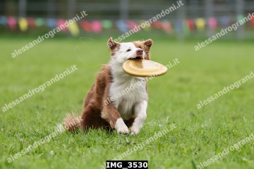 IMG_3530.jpg