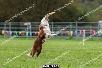 IMG_3565.jpg