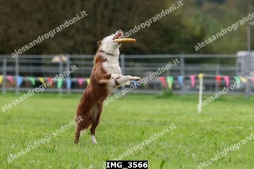 IMG_3566.jpg