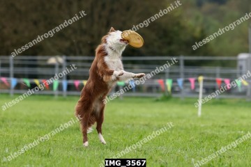 IMG_3567.jpg