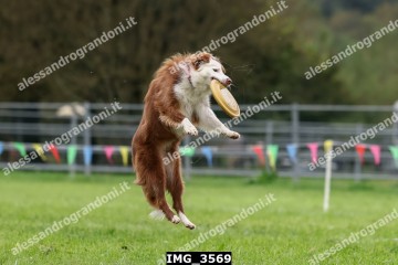 IMG_3569.jpg