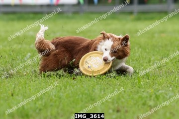 IMG_3614.jpg