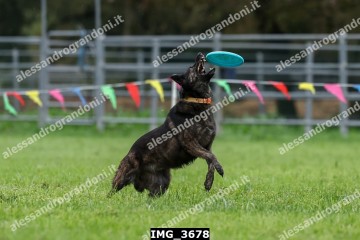 IMG_3678.jpg