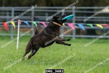 IMG_3681.jpg