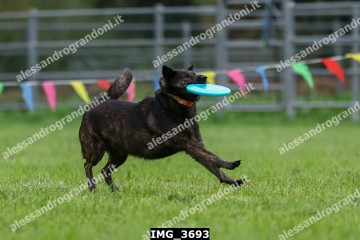 IMG_3693.jpg