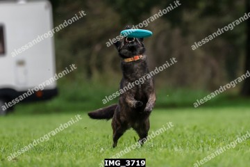 IMG_3719.jpg