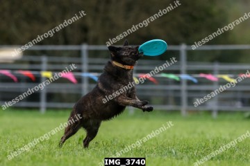 IMG_3740.jpg