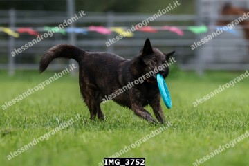 IMG_3752.jpg