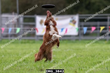 IMG_3842.jpg