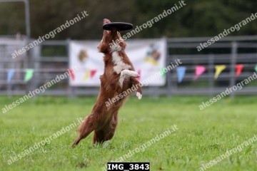 IMG_3843.jpg