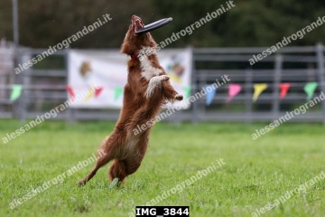 IMG_3844.jpg