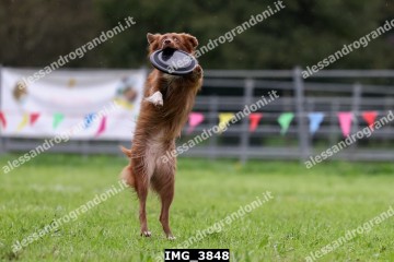IMG_3848.jpg