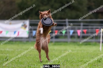 IMG_3850.jpg