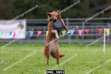 IMG_3852.jpg