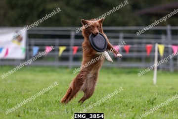 IMG_3854.jpg