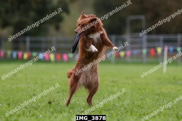 IMG_3878.jpg