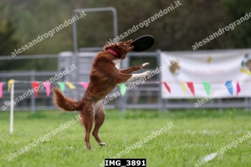 IMG_3891.jpg