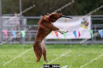 IMG_3894.jpg