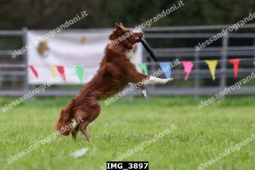 IMG_3897.jpg