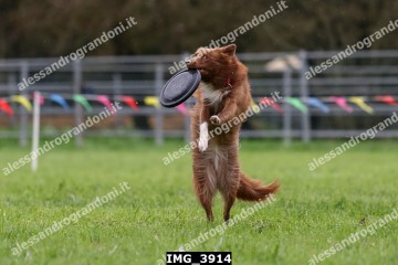 IMG_3914.jpg