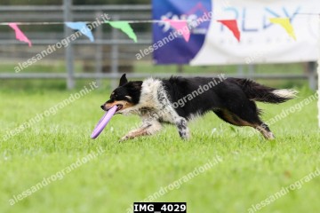 IMG_4029.jpg