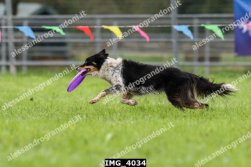 IMG_4034.jpg