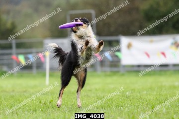 IMG_4038.jpg
