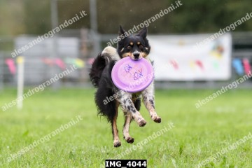 IMG_4044.jpg