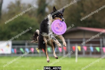 IMG_4070.jpg