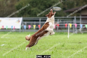 IMG_4114.jpg