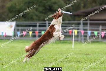 IMG_4115.jpg