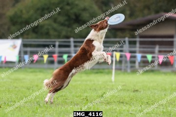 IMG_4116.jpg