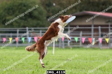 IMG_4119.jpg