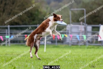 IMG_4133.jpg