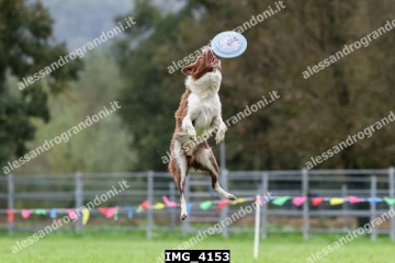 IMG_4153.jpg
