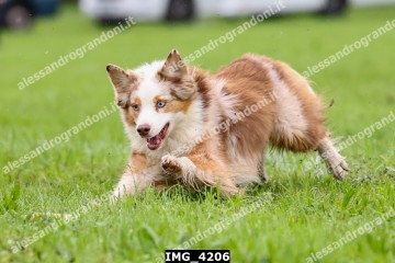 IMG_4206.jpg