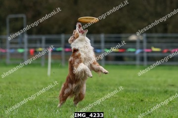 IMG_4233.jpg